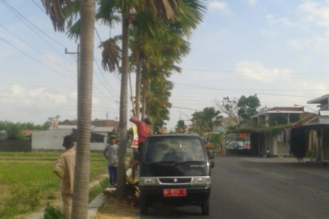 Pembersihan 3 Titik Turus Jalan