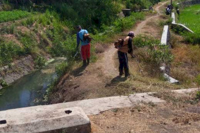 Penyiraman Dan Pemeliharaan Ruas Jalan Pakis-Daleman DPUPR 2019
