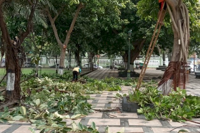 Pemangkasan Dahan Pohon Alun – Alun Klaten