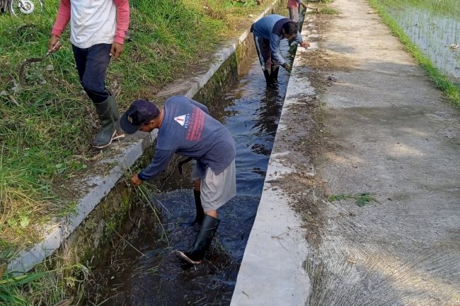 Perbersihan Saluran Irigasi DI Dedesan