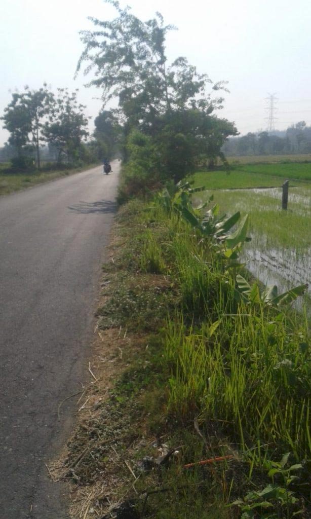 Pembersihan Berem Jalan Gebyak – Rawa Jombor Dan Pembersihan Saluran Bendung Bulusan Kecamatan Gantiwarno