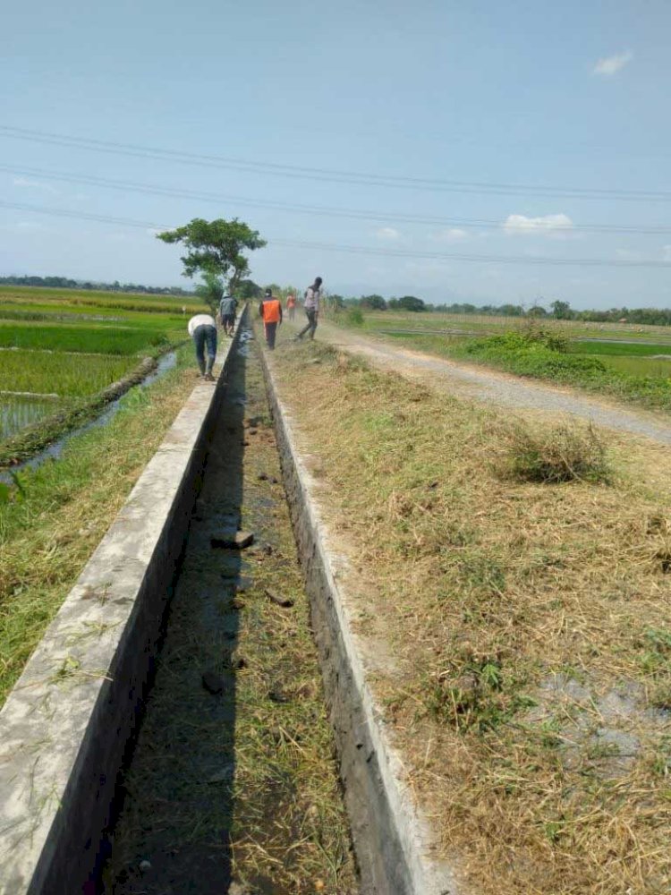 Pembersihan Berem Jalan Gebyak – Rawa Jombor Dan Pembersihan Saluran Bendung Bulusan Kecamatan Gantiwarno