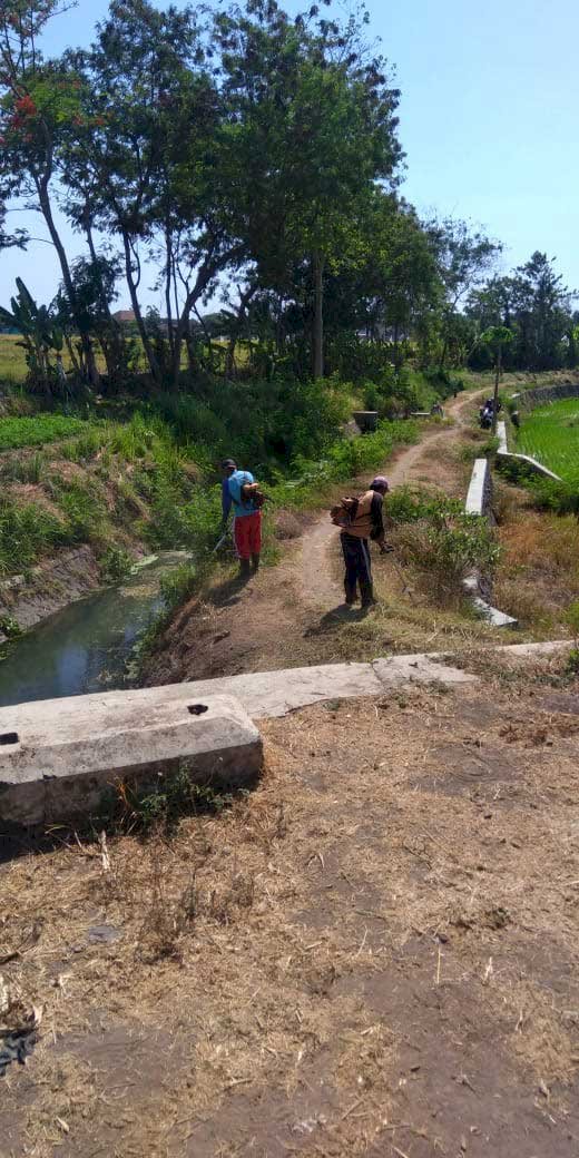 Penyiraman Dan Pemeliharaan Ruas Jalan Pakis-Daleman DPUPR 2019