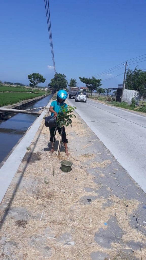 Penyiraman Dan Pemeliharaan Ruas Jalan Pakis-Daleman DPUPR 2019