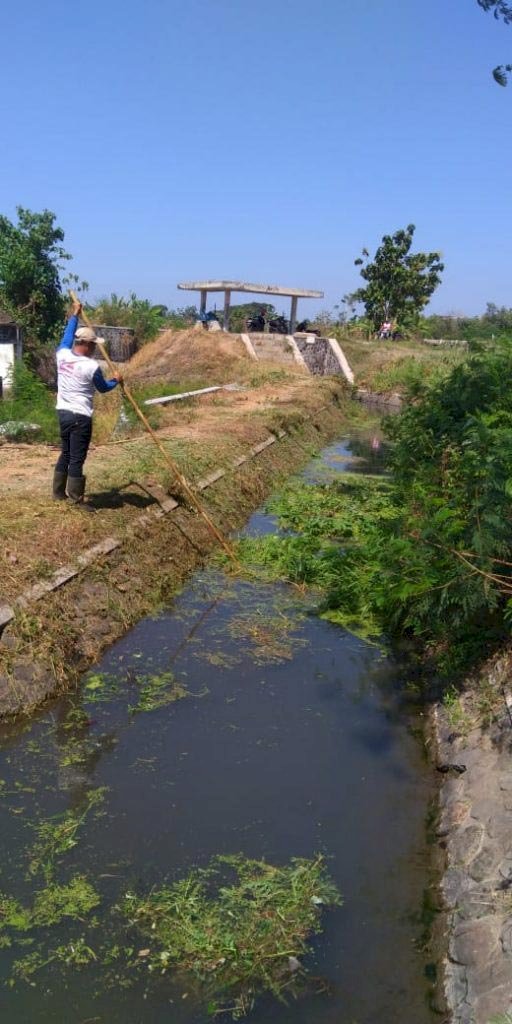 Penyiraman Dan Pemeliharaan Ruas Jalan Pakis-Daleman DPUPR 2019