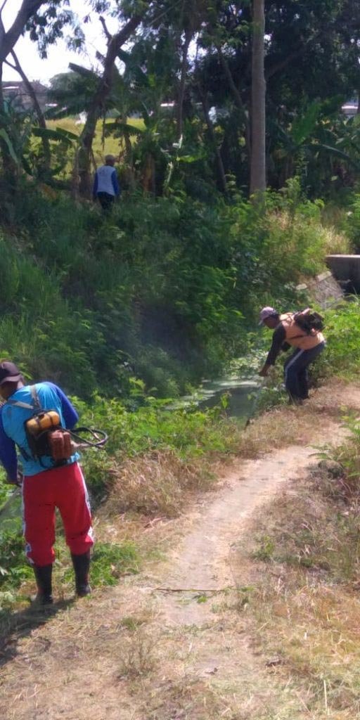 Penyiraman Dan Pemeliharaan Ruas Jalan Pakis-Daleman DPUPR 2019