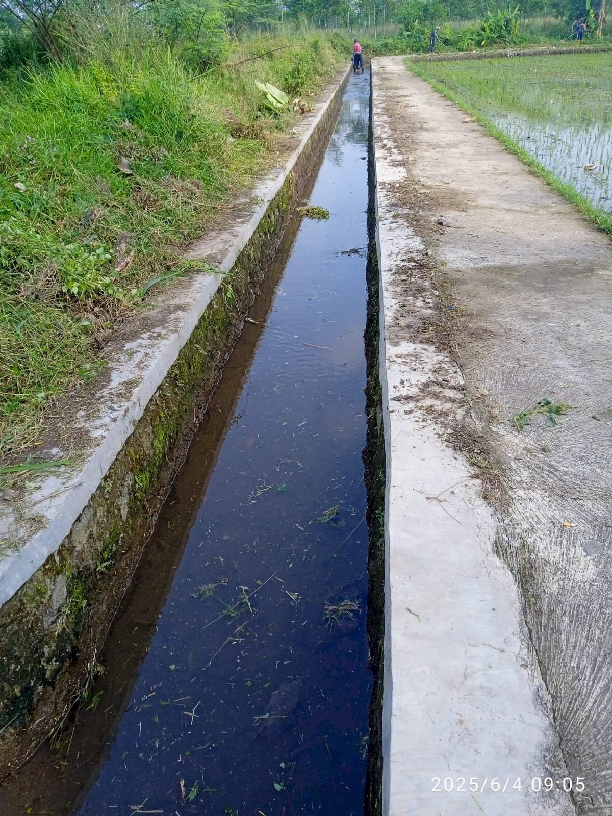 Perbersihan Saluran Irigasi DI Dedesan
